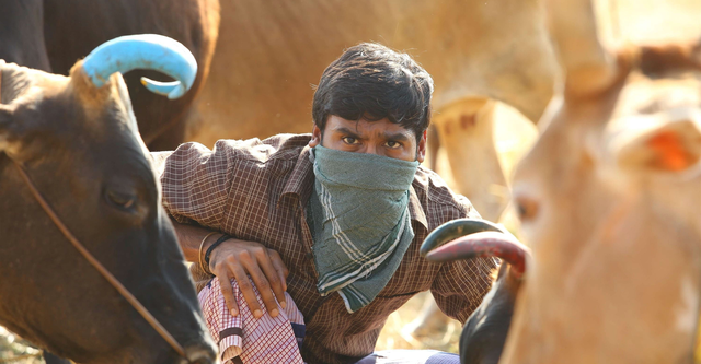 30 Best Dhanush Movies And Where To Watch Them