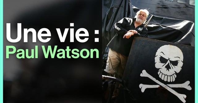 Paul Watson : comment devenir un pirate écolo