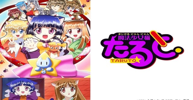 魔法少女猫たると Tv ドラマ 動画配信 オンライン 視聴