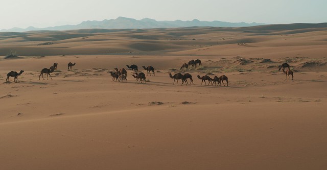 L'Iran vu du ciel