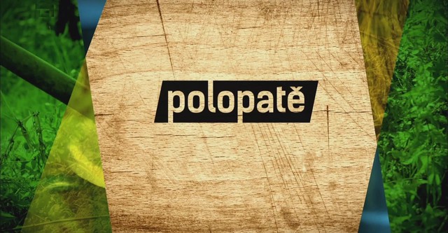 Polopatě