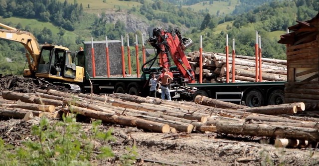 Wood - Der geraubte Wald