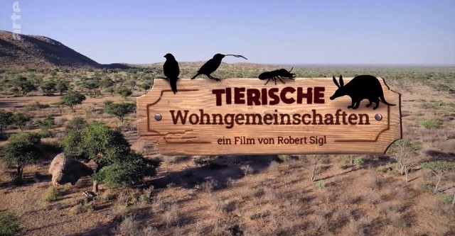 Tierische Wohngemeinschaften