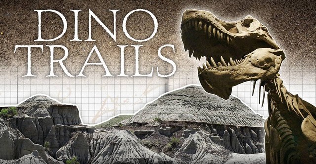 Dino Trails