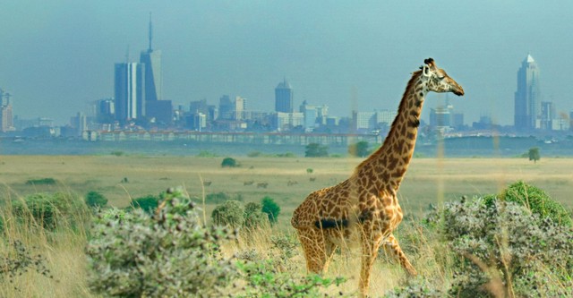 Breaking Boundaries: The Science of Our Planet