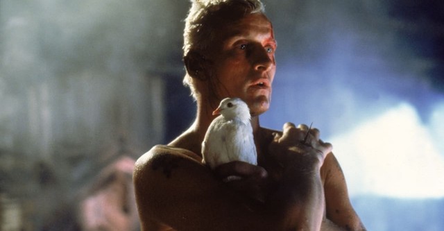 « Blade Runner » : au-delà de la fiction