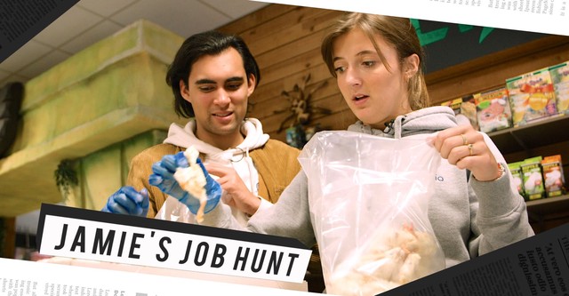 Jamie's Job Hunt