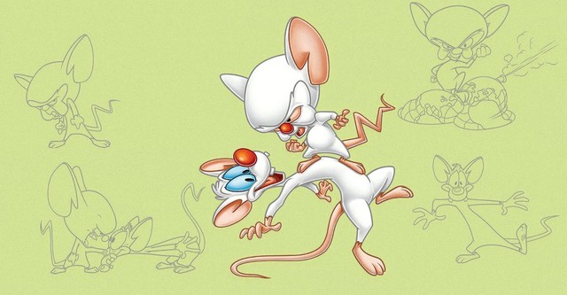 Pinky and the Brain