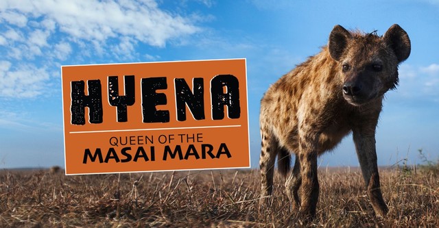 Hyena: Queen of the Masai Mara