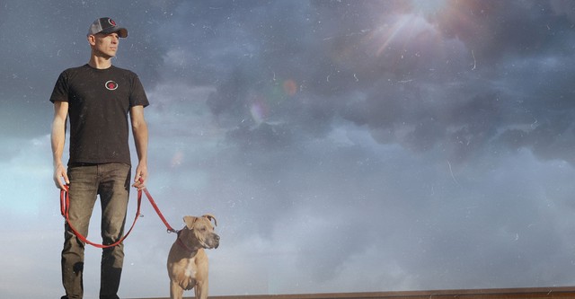 Uwaga! Niezły pies: nowe życie