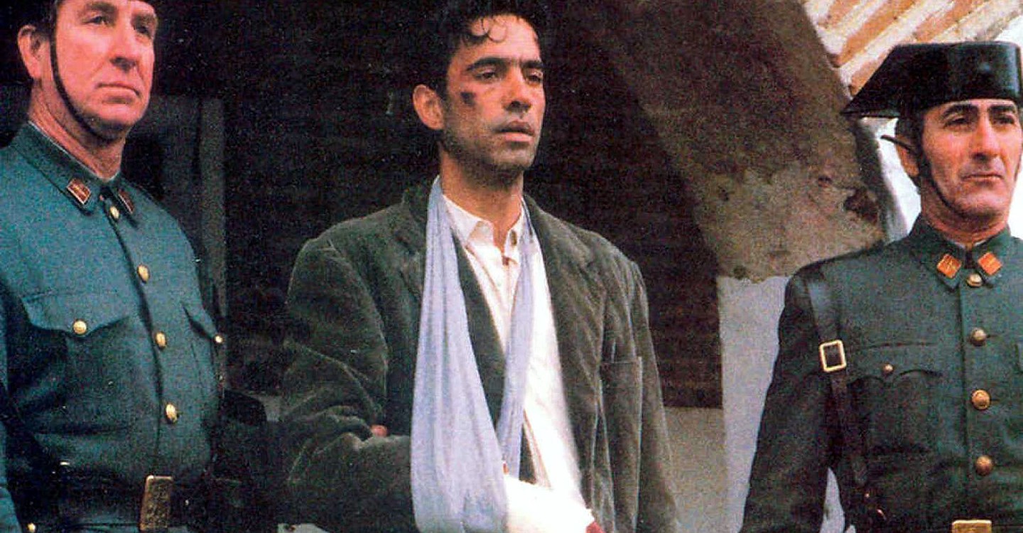 Lute pelicula
