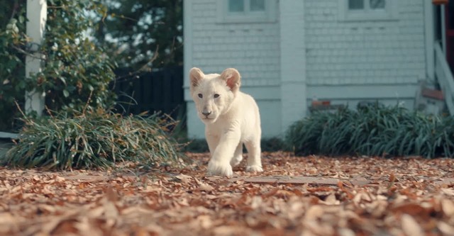 Lena and Snowball