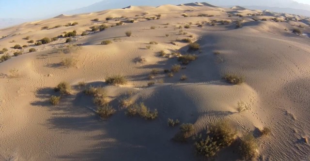 The Women in the Sand