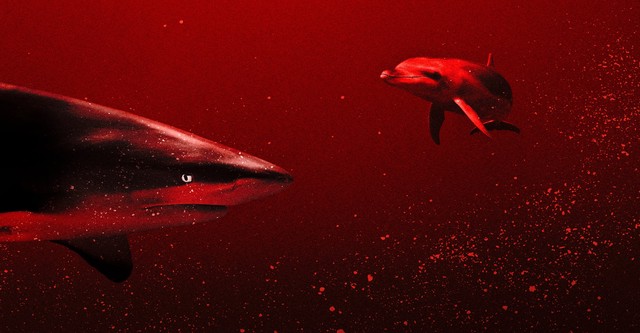 Sharks vs. Dolphins: Blood Battle