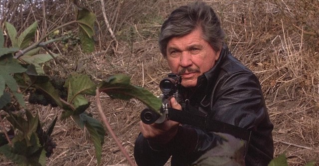 Death Wish 4: The Crackdown