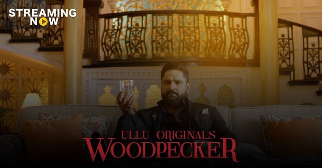 Woodpecker Season 1 watch full episodes streaming online