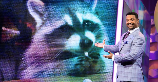 America's funniest hotsell pet videos