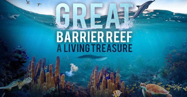 Das Great Barrier Reef - Schatzkiste der Natur