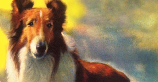 Lassie und die Goldgräber