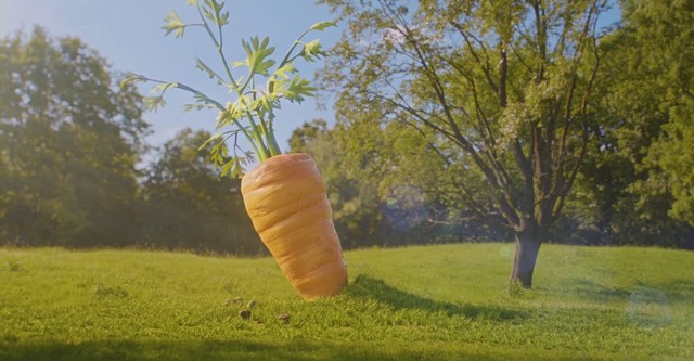 Mein leckerer Garten