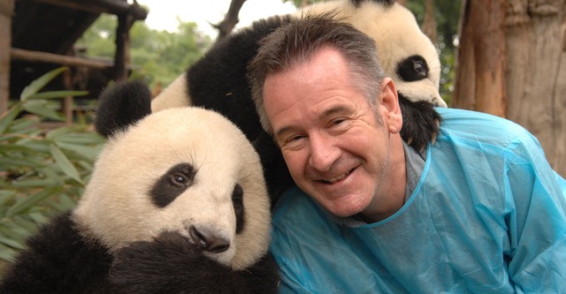 Panda Week with Nigel Marven