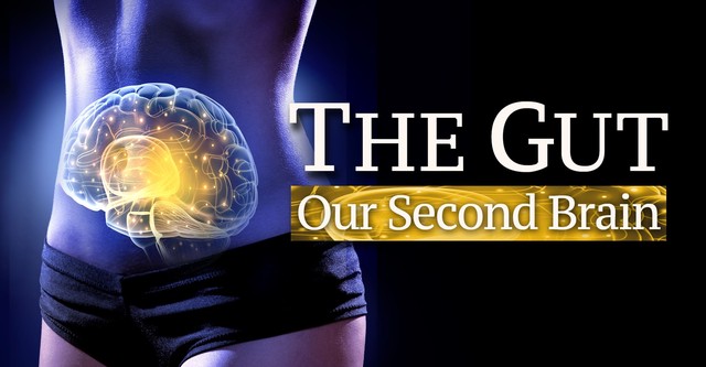 The Gut: Our Second Brain