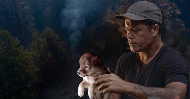 Doug, der Tierretter