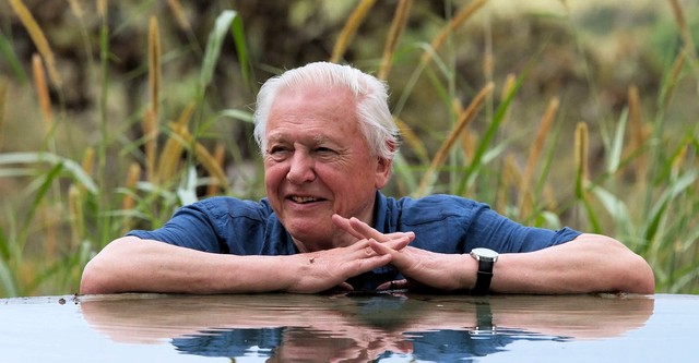 David Attenborough's Global Adventure