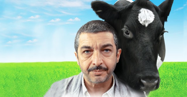 로베르토의 특별한 일주일