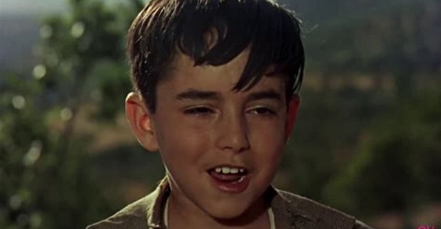 Il canto dell'usignolo