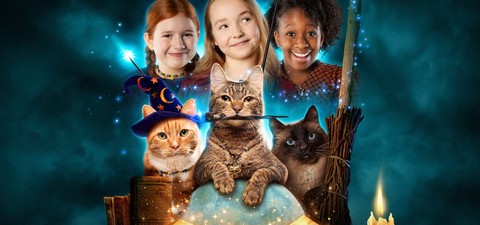 Where to watch Scaredy Cats TV series streaming online?
