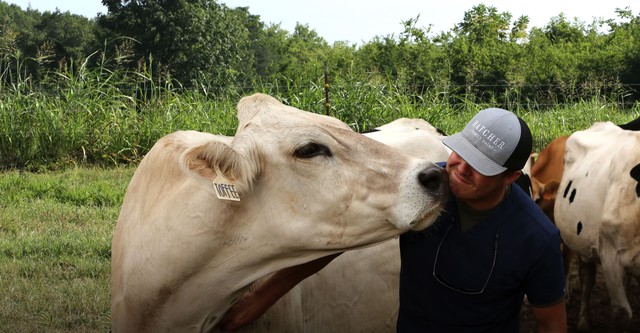 Die Hatchers: Farm, Kühe und Doktoren