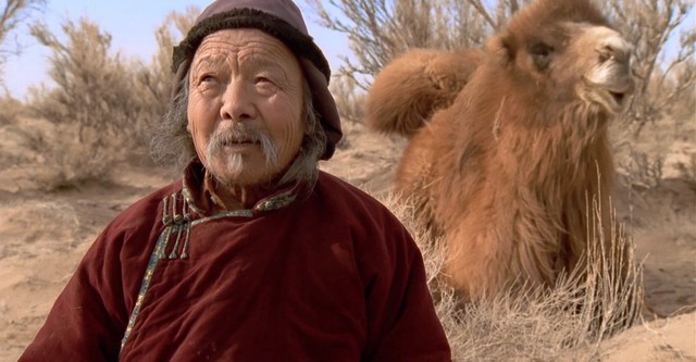 Ağlayan Devenin Öyküsü