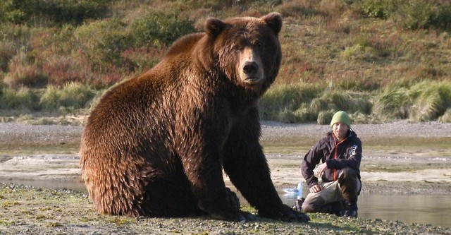 Der Bär in mir