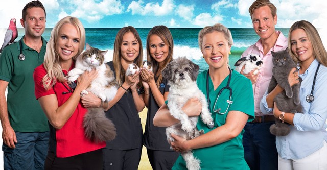 Bondi Vet: Coast to Coast