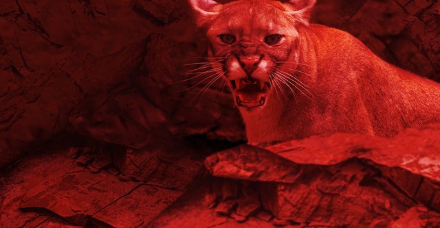 絶体絶命！動物襲撃事件簿