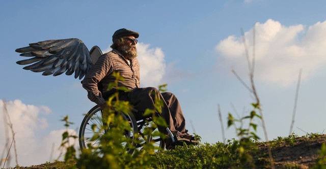 A Bicicleta do Vovô - A série