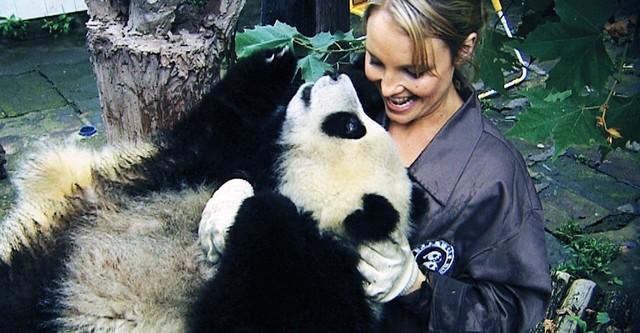 Sneezing Baby Panda: The Movie