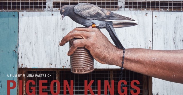 Pigeon Kings