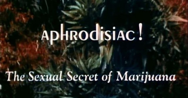 Aphrodisiac: The Love Secret