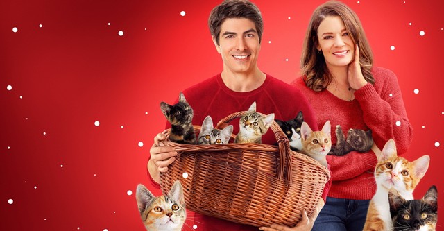 Nove Gatinhos de Natal