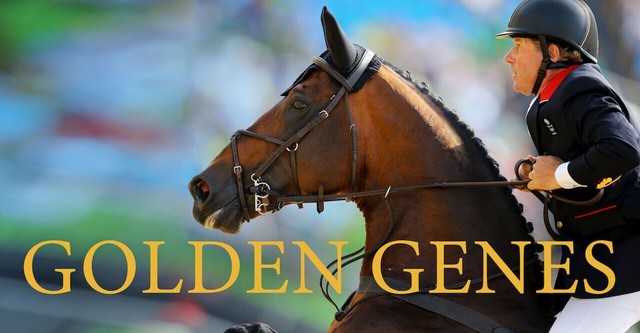 Golden Genes: The secret of Dutch jumpers