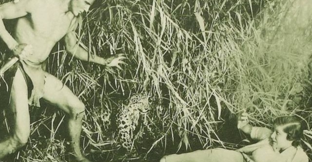 The New Adventures of Tarzan