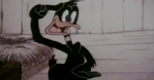 Le Divorce de Daffy