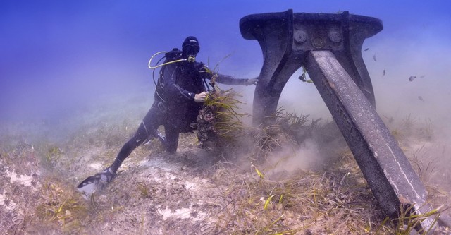 Heroes of The Mediterranean