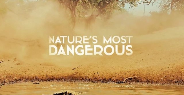 Nature's Most Dangerous