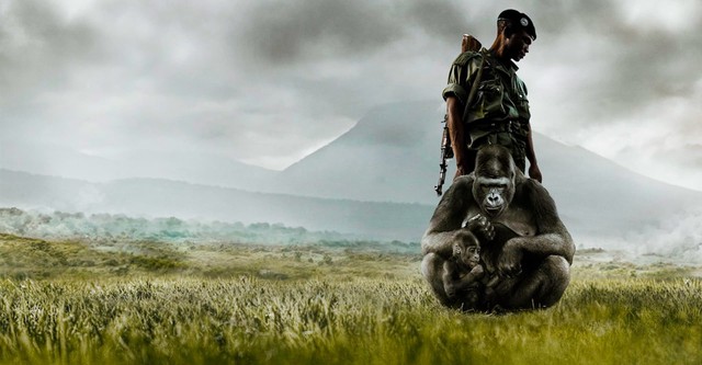 Virunga