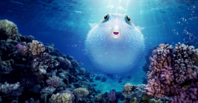 Puff: Minunile Recifului