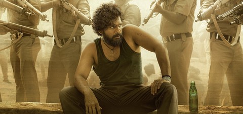 10 Movies to Watch If You Like the Pushpa Movies