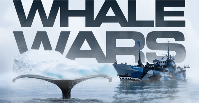 Whale Wars - Krieg den Walfängern!